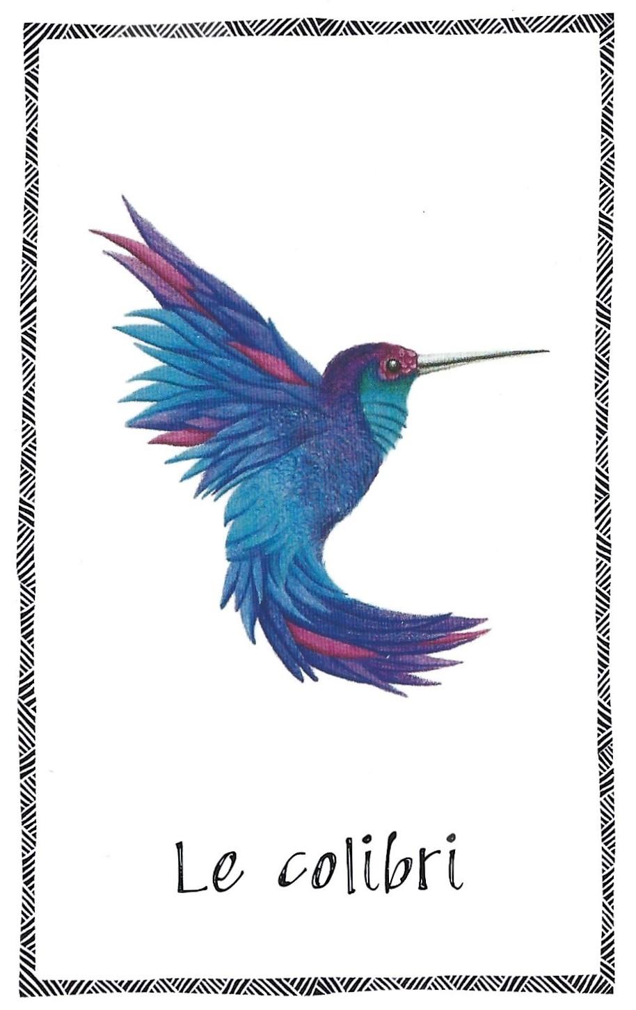 Colibri