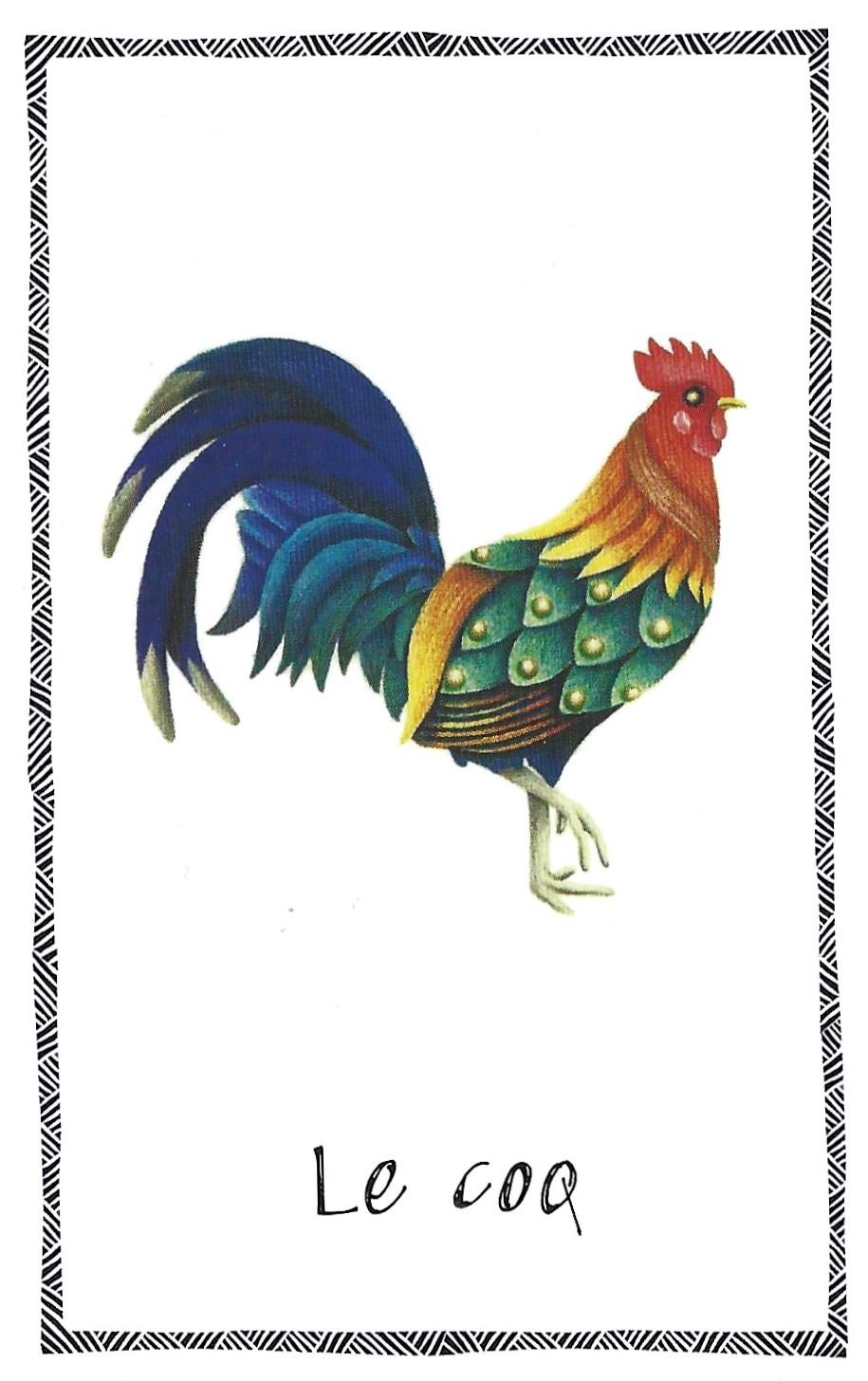 Coq 1