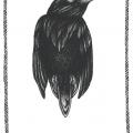 Corbeau 1