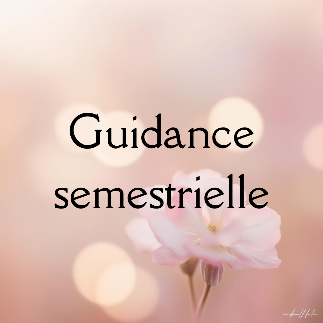 Guidance semestrielle