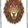 Lion 3