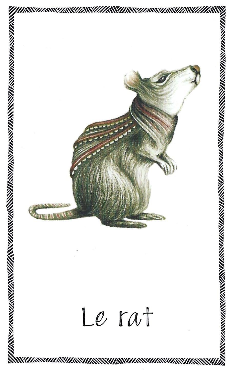 Rat 1